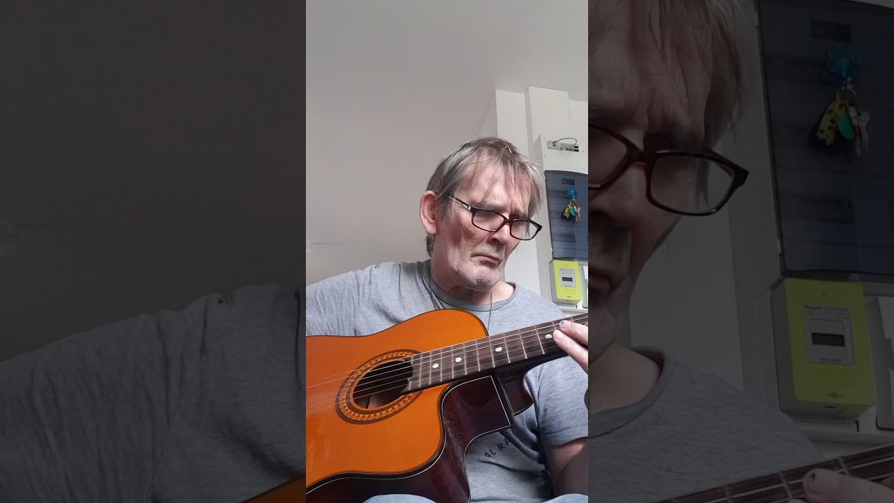 VITAA & SLIMANE - Ça va ça vient ... Façon Laplume 🎶🎸🕊