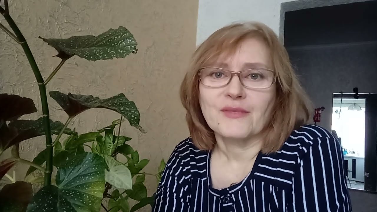 Черенкование комнатных растений#цветочные дела
