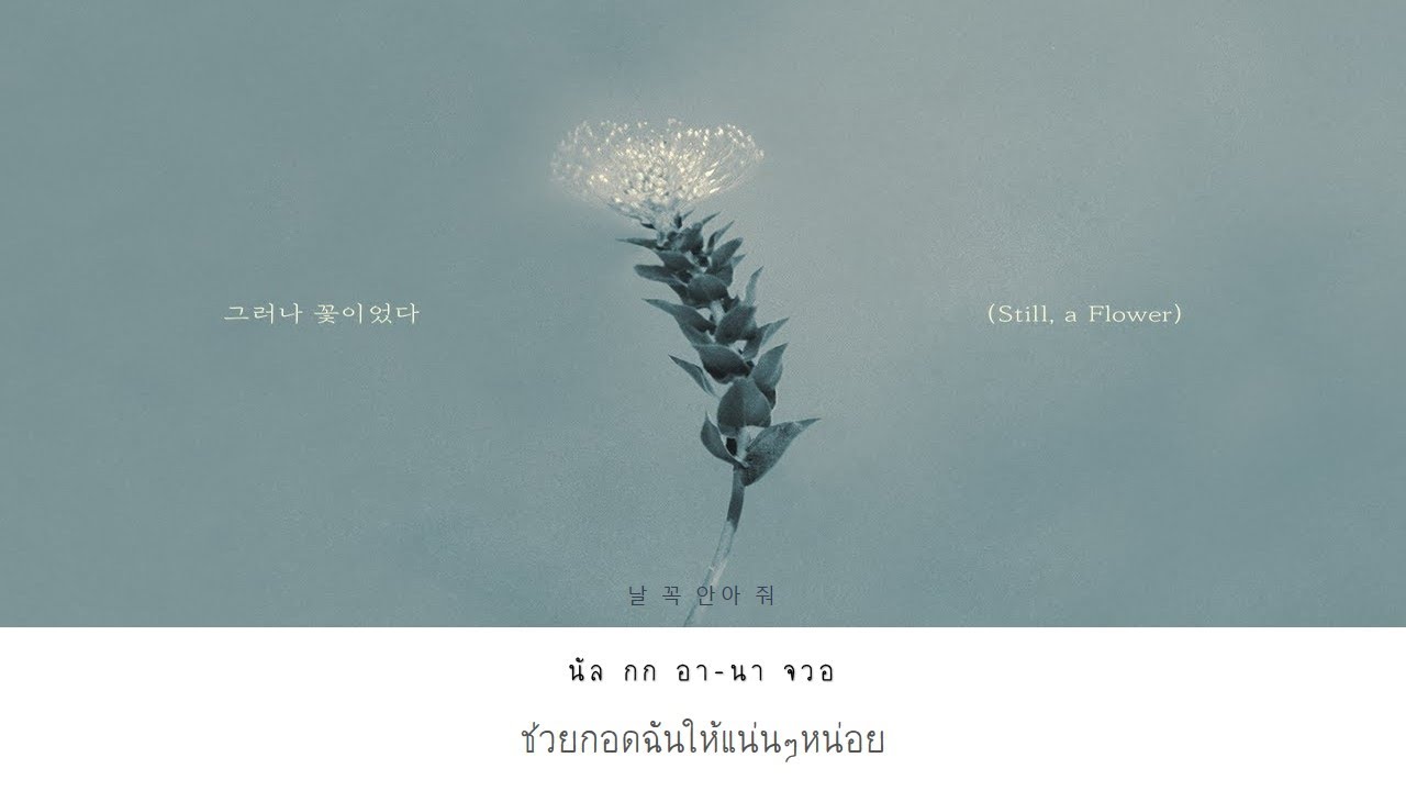 [THAISUB] CNBLUE – 그러나 꽃이었다 (Still, a Flower)