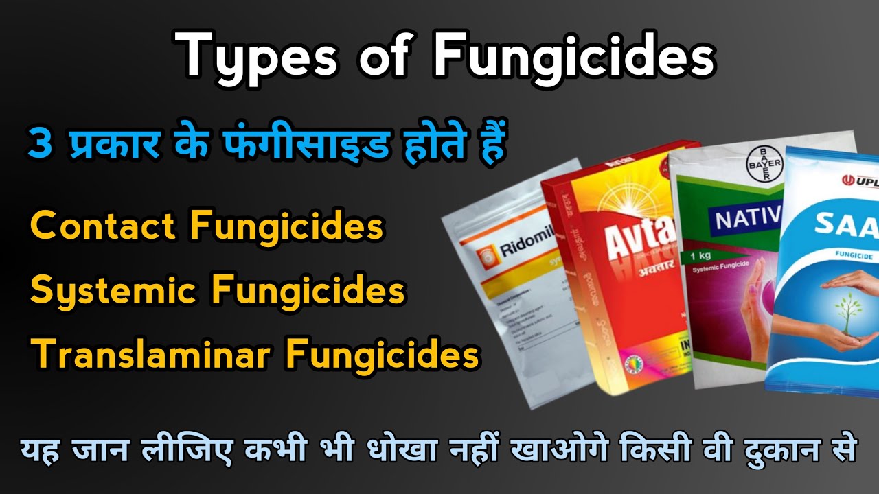 Types of Fungicides | कितने प्रकार के फंगीसाइड होते है |Classification of fungicides |Mode of Action