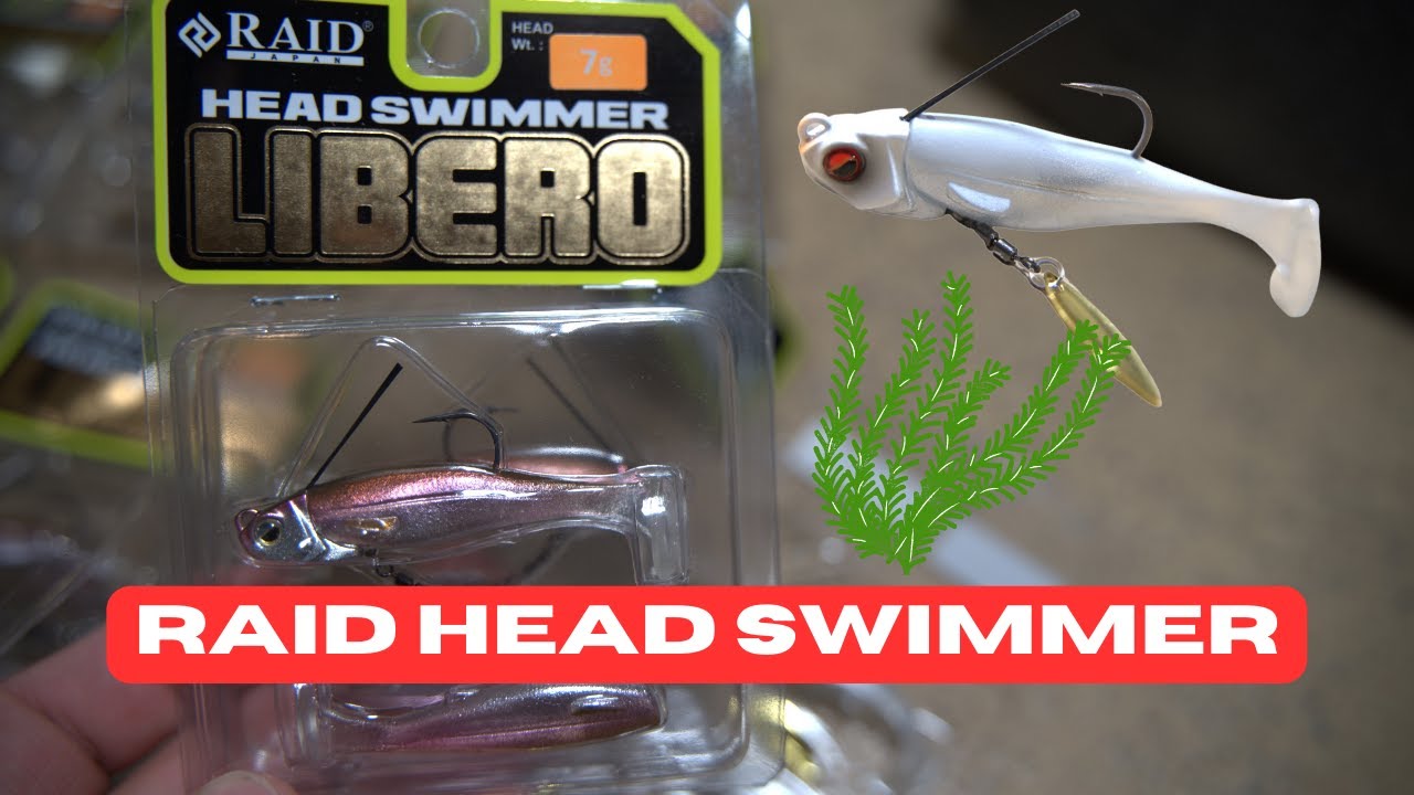 Raid Japan - Head Swimmer Libero!!!