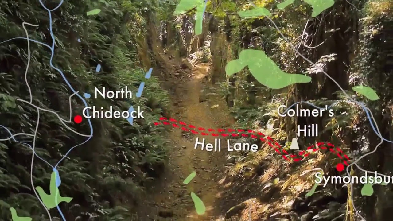 Best Walks With A View - Dorset Route Overview