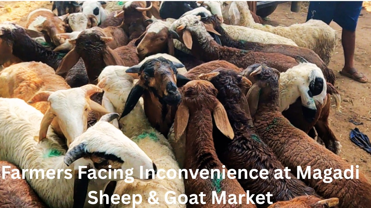E P 5 Farmers Facing Inconvenience at Magadi Sheep & Goat Market | Ground Report