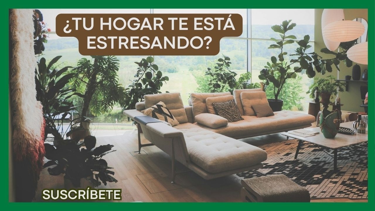 🌿Cómo hacer que tu casa te haga sentir mejor | Biofilia moderna y bienestar en el hogar #hogar