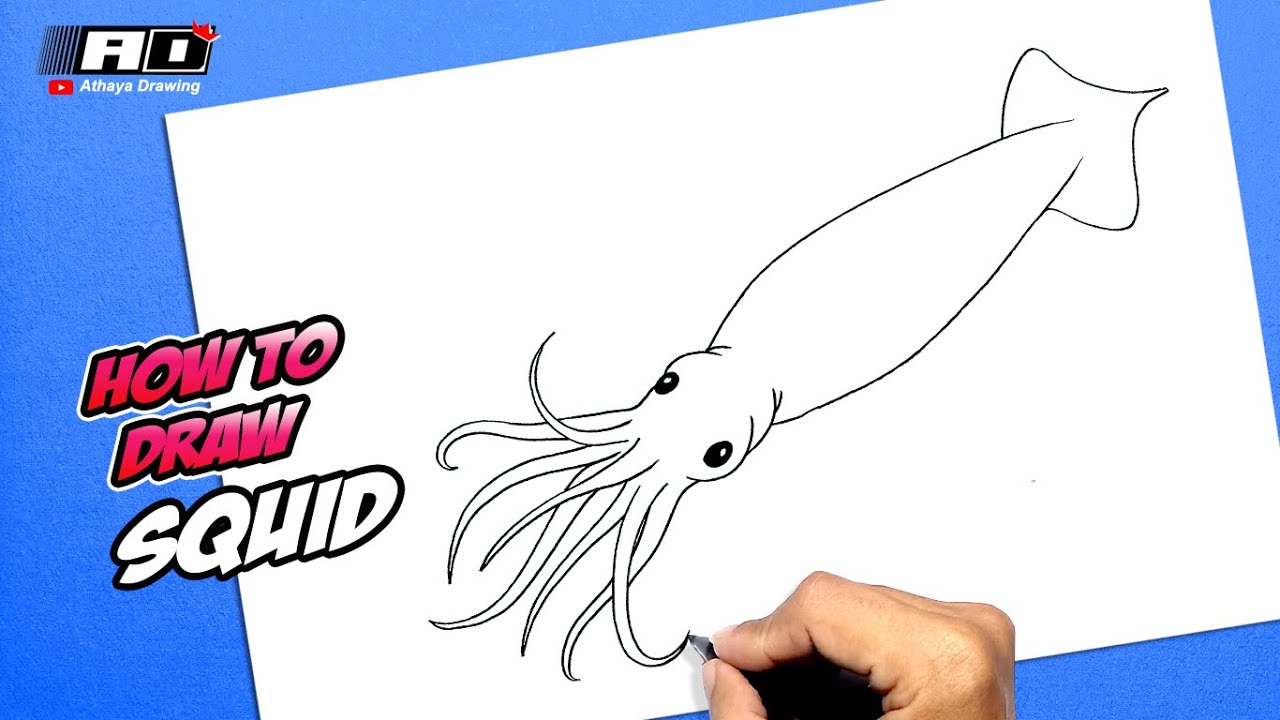 How to draw a Squid