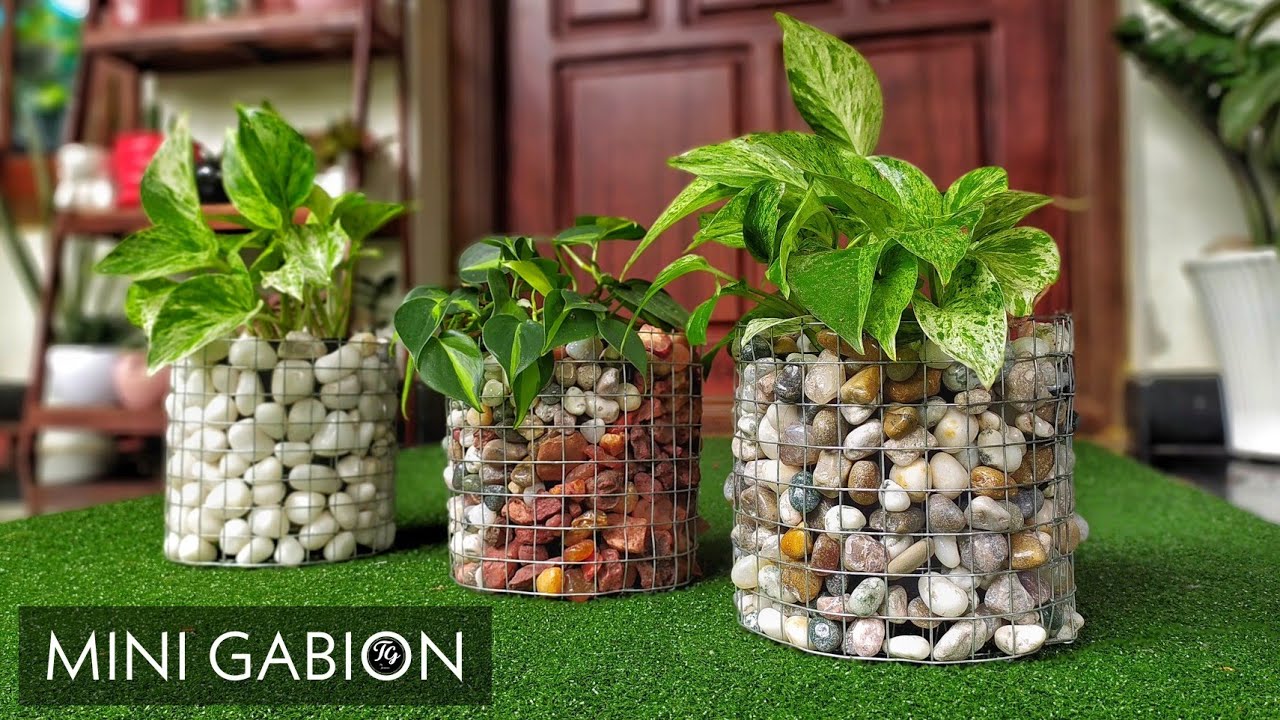 Mini Gabion | Garden ideas | Simple gardening techniques