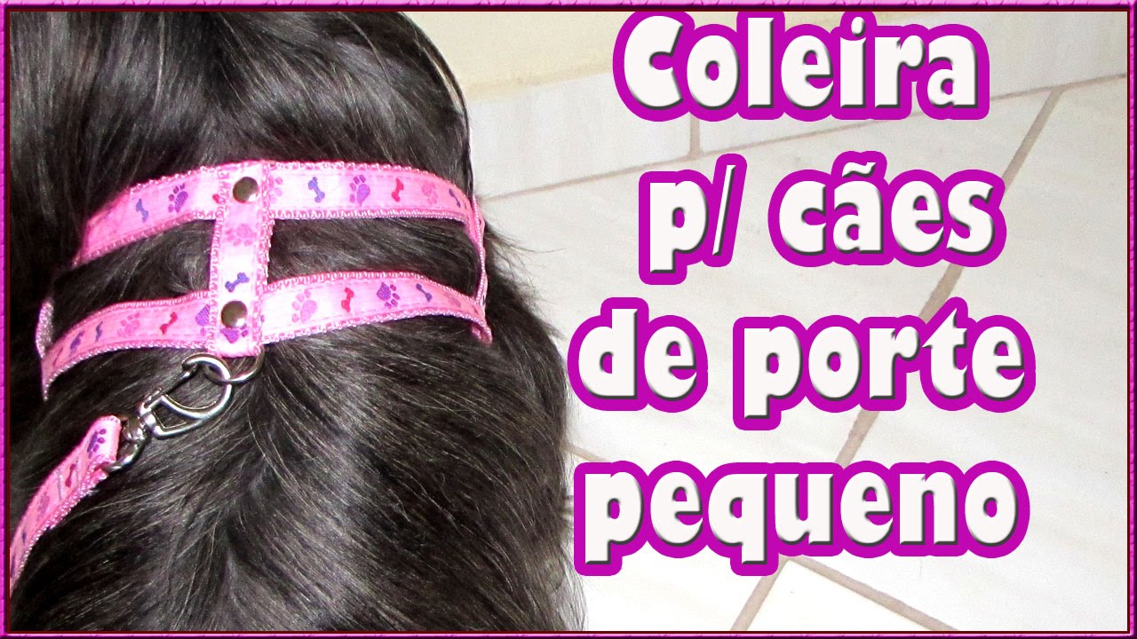 🔴 Coleiras para cachorros de porte pequeno, Qual eu uso para as minhas Shih tzus ?