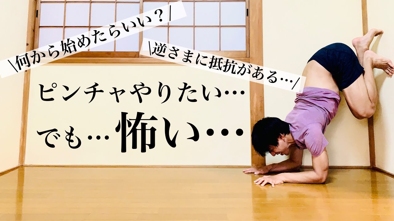 【ピンチャ完全初心者】逆さになるのが怖い方のためのステップ