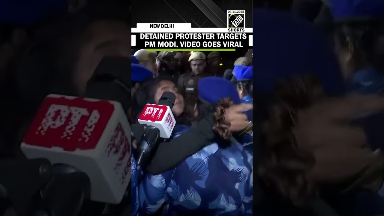 Delhi Air Pollution Demonstration: Detained protester targets PM Modi, video goes viral | Watch