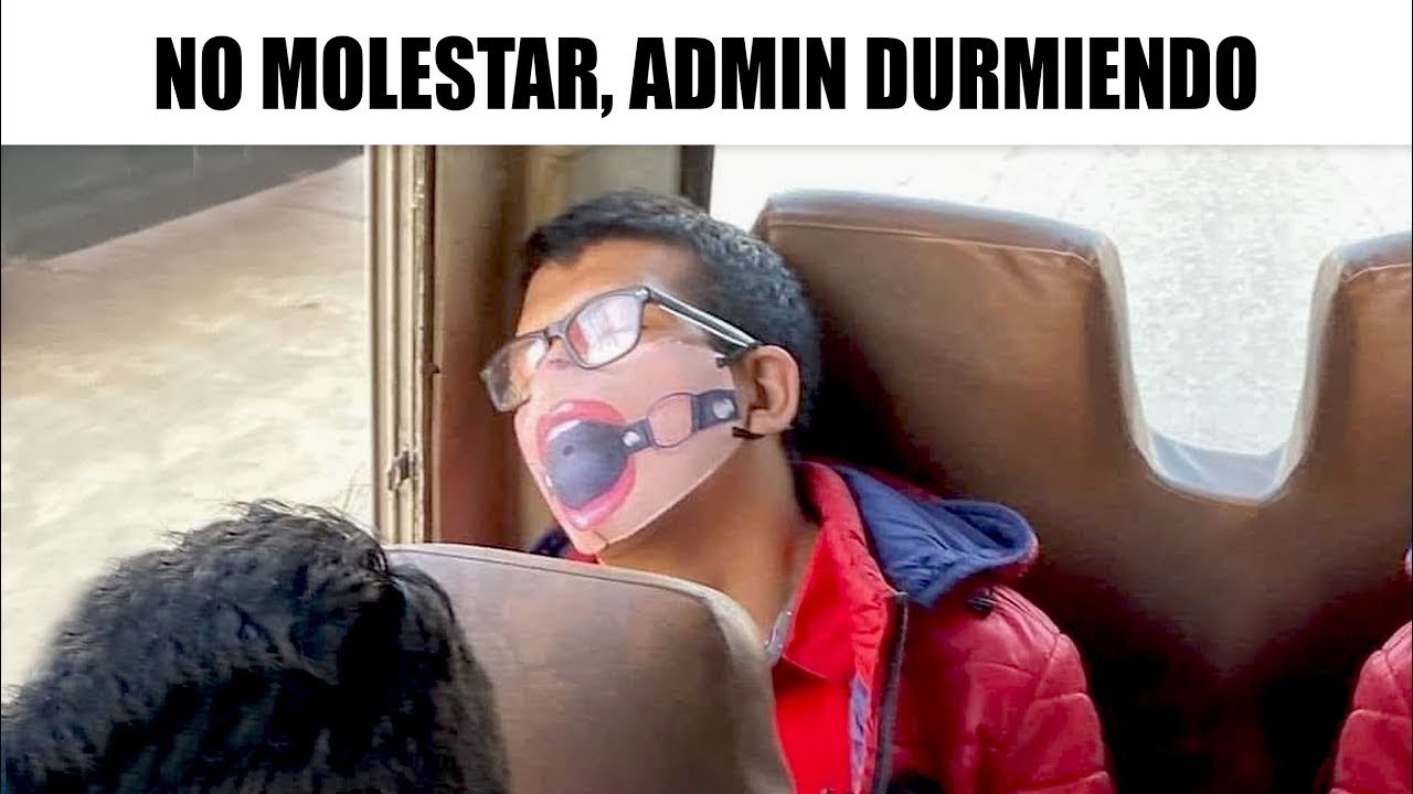 MEMES RANDOM #516