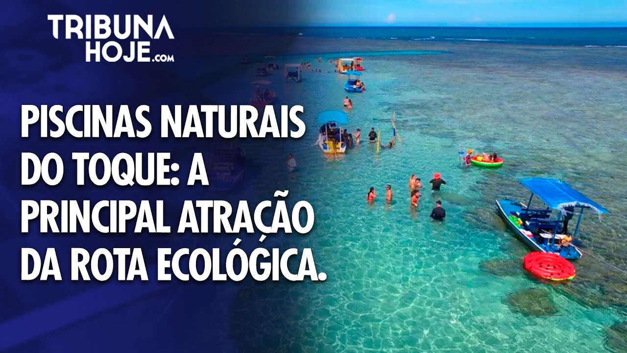 Tribuna Hoje - Piscinas naturais do Toque em maré baixa: o melhor passeio da rota ecológica (2026)