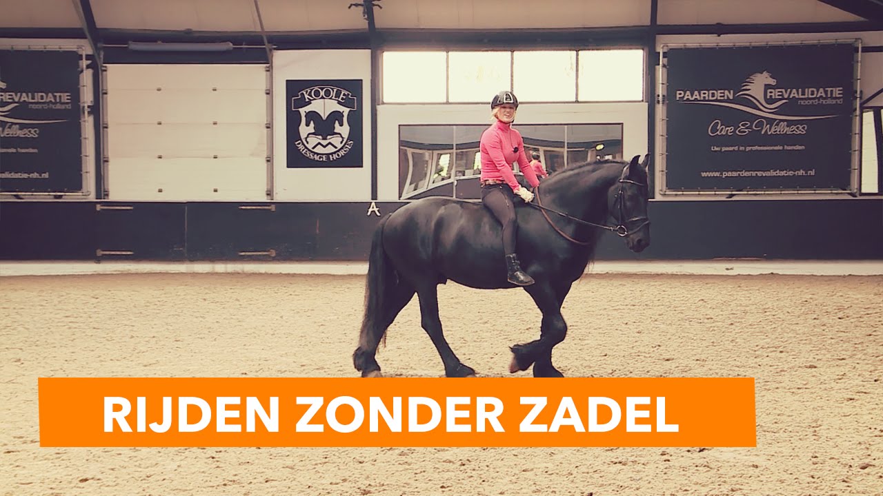 Basis paard rijden zonder zadel | PaardenpraatTV