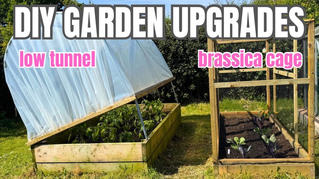 LOOK What We MADE! Mini Polytunnel & Brassica Cage (Weekend Gardening Projects)