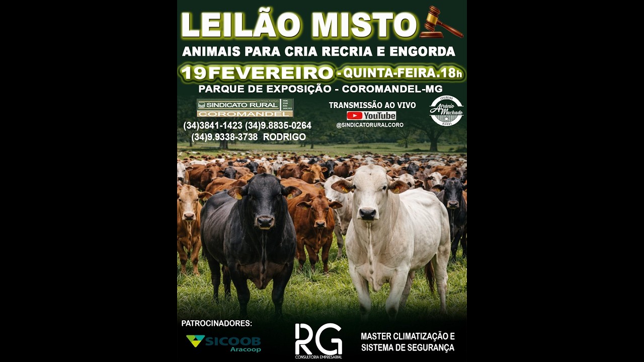 LEILÃO MISTO  19 FEVEREIRO 2026