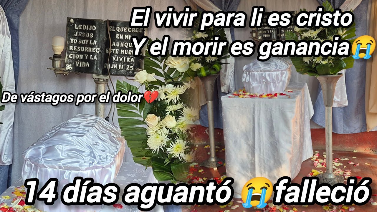 Pedi fiada la c4jit4 para mi nieto karen no soporto escuchar rompió en llanto 😭ayuda🥺