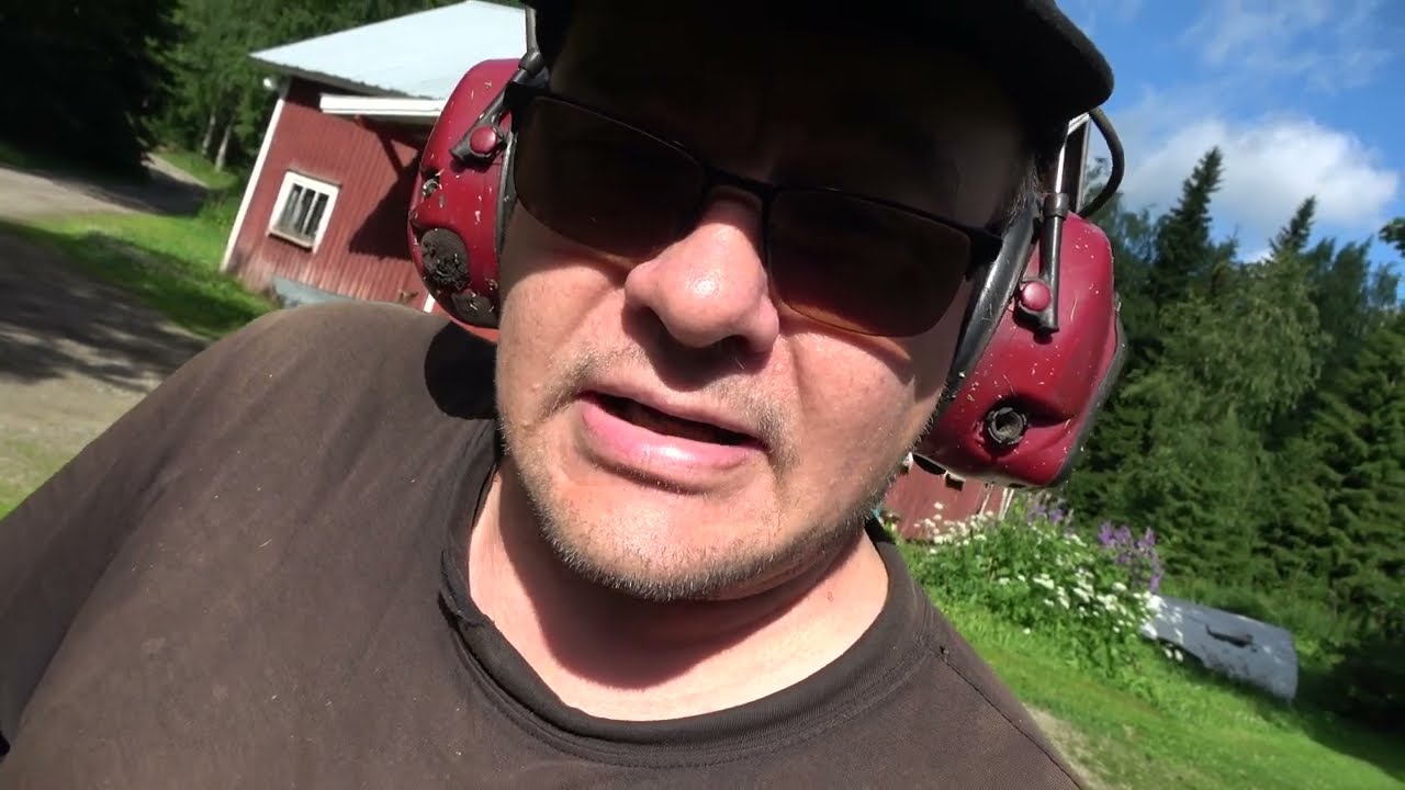 Koivut POIS ja TURRUUTTAMMAAN !