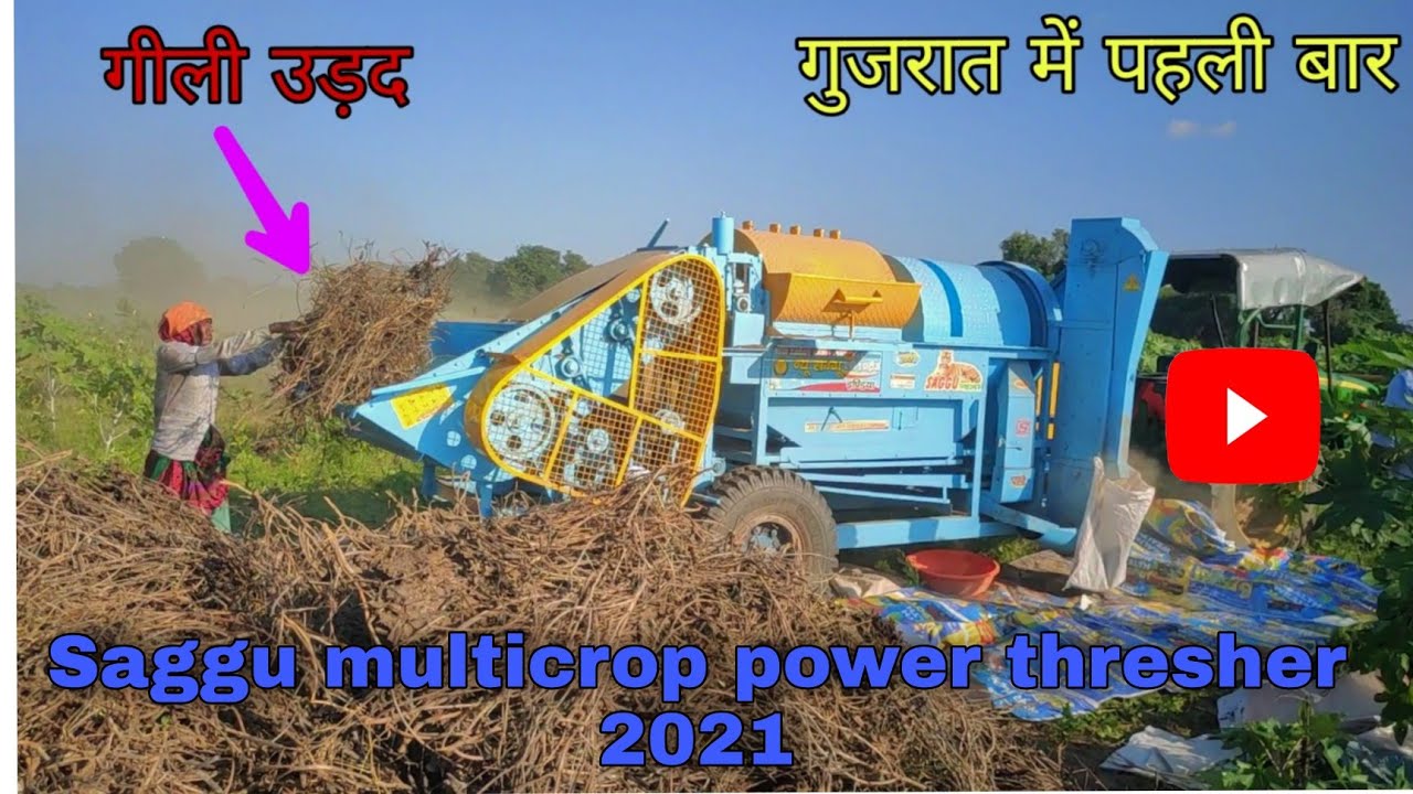Saggu थ्रेशर 2021 टोकरी model से उड़द की गीली फसल निकालते हुए location गुजरात mahesana (9549639404)