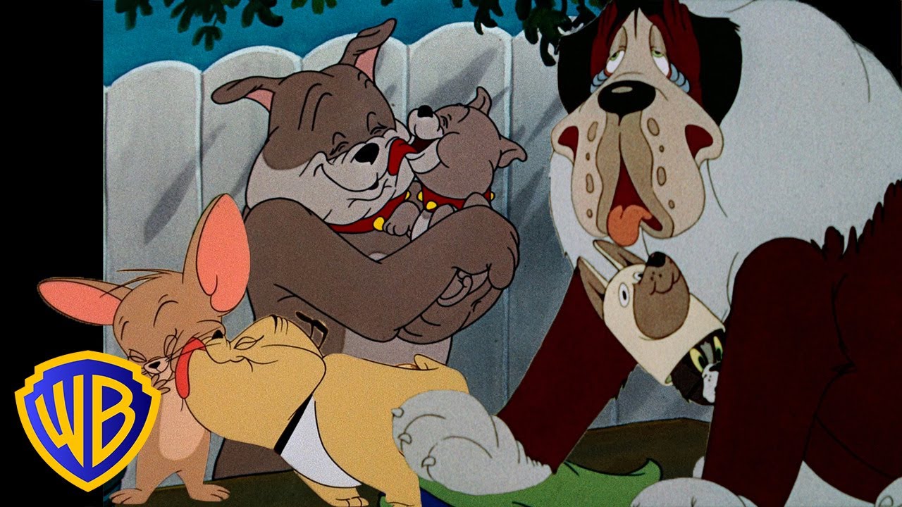 Tom y Jerry en Español 🇪🇸 | ¡Lo mejor de los perros! 🐶❤️ | Mes de los animales | @WBKidsEspaña​