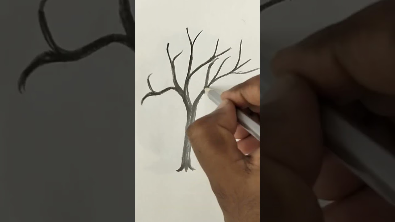 How To Draw A Dry Tree Easy #shorts #drawing #youtubeshorts #art #artist