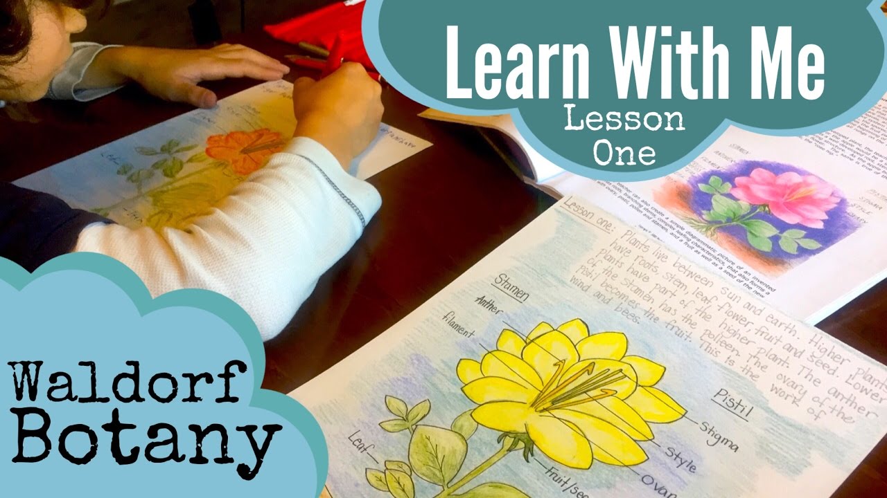 Inside a Waldorf Main Lesson