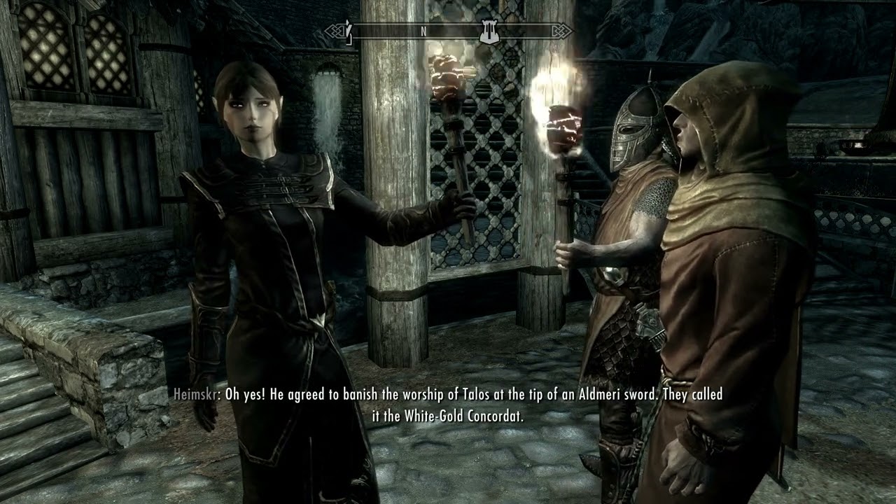 Skyrim Thalmor Follower Mod - Thalmor Justiciar Ayrenn Clashes with Heimskr the Whiterun Fanatic