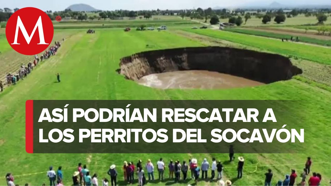Así rescatarán a perritos que cayeron en socavón de Puebla