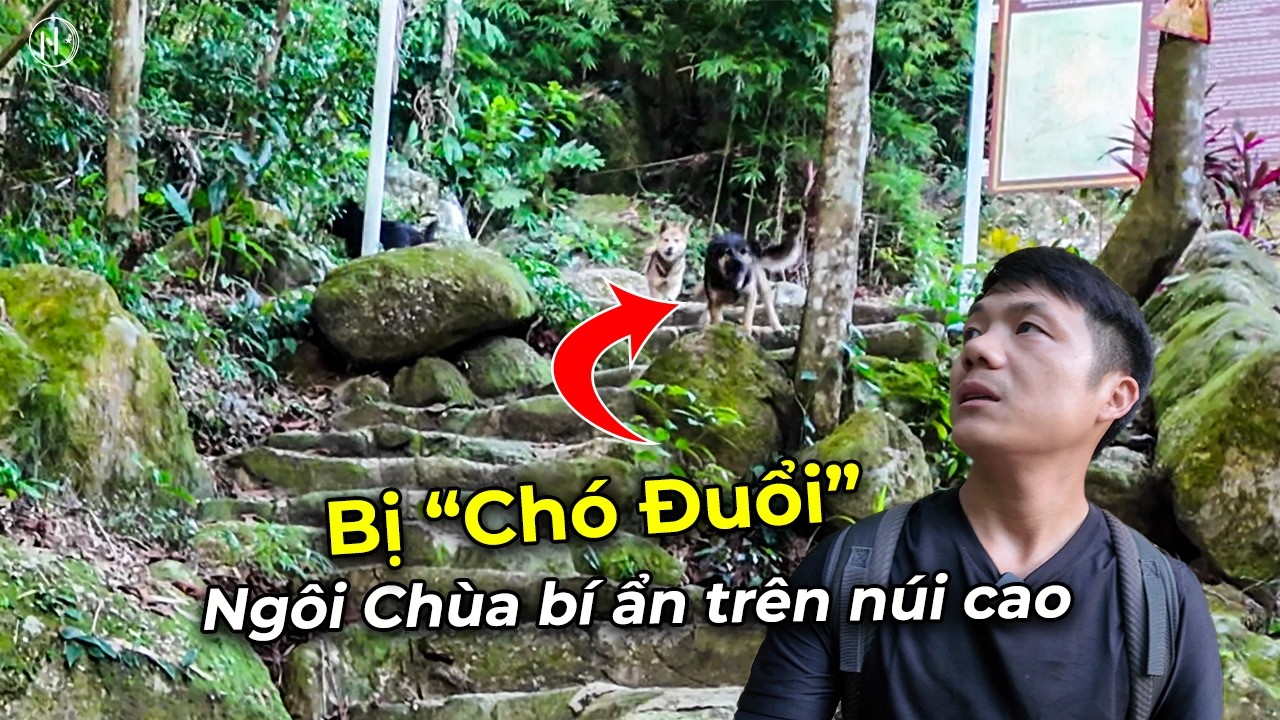 Khám Phá Ngôi Chùa Bí Ẩn Trên Núi Yên Tử (Quảng Ninh) – Và Sự Cố Thót Tim!