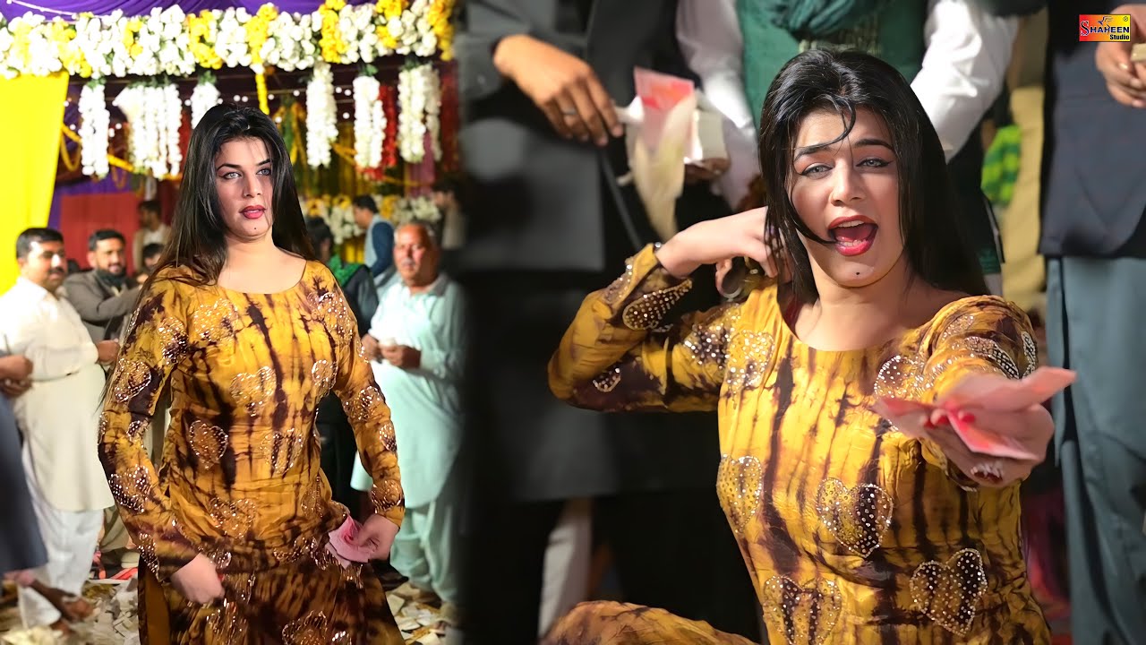 Asan Dere Wal Sade Yar Dere Wal, Dolphin Rani Dance Performance Shaheen Studio 2026