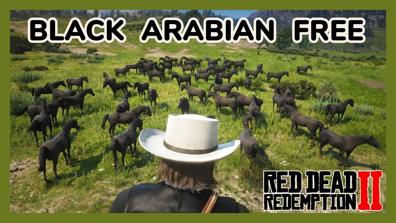How to Get Black Arabian for Free - Thousand Times - Red Dead Redemption 2
