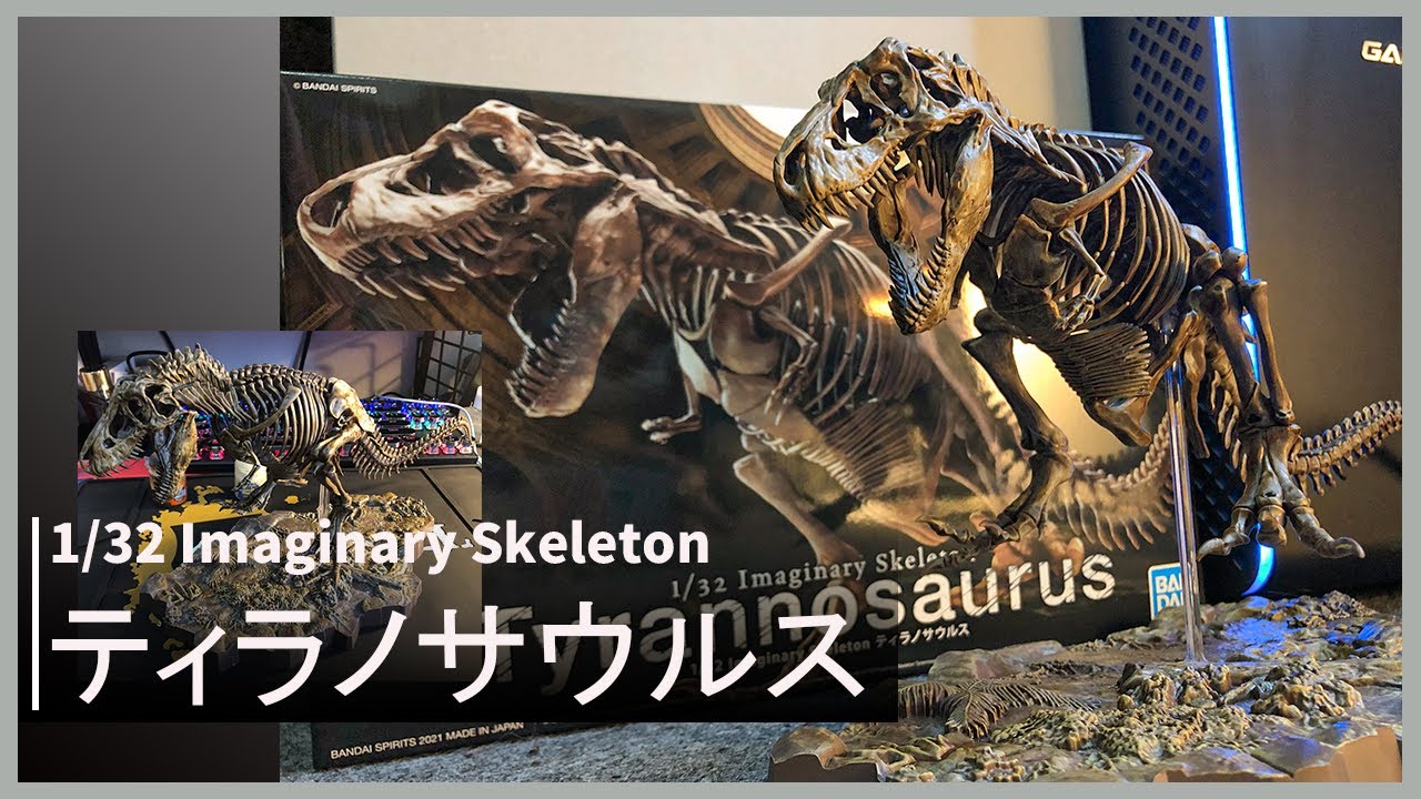 【恐竜プラモデル】1/32 Imaginary Skeleton ティラノサウルス
