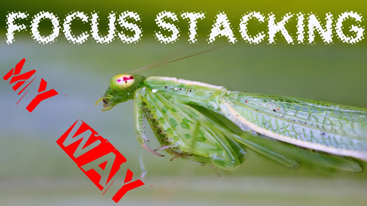 Focus stacking, how i do it. (Using Helicon Focus)