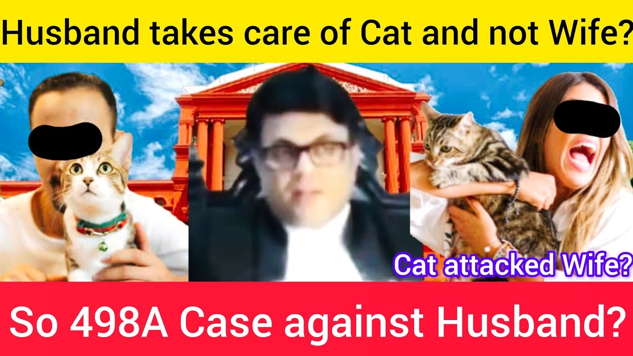 Wife's false 498A case on Husband over a Pet  Cat?#highcourt