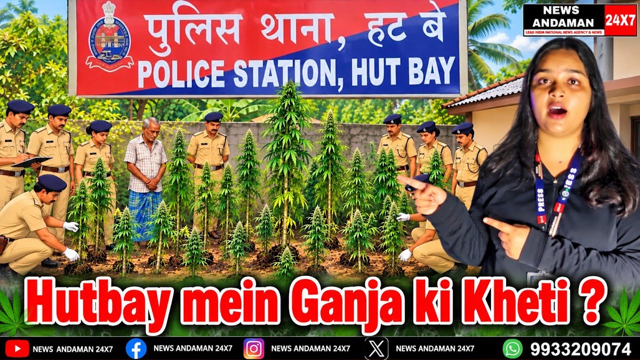 Ganja ki Kheti ho rahi hai Hutbay mein ? A&N Police ki badi kamyabi drugs ki Roktham mein 