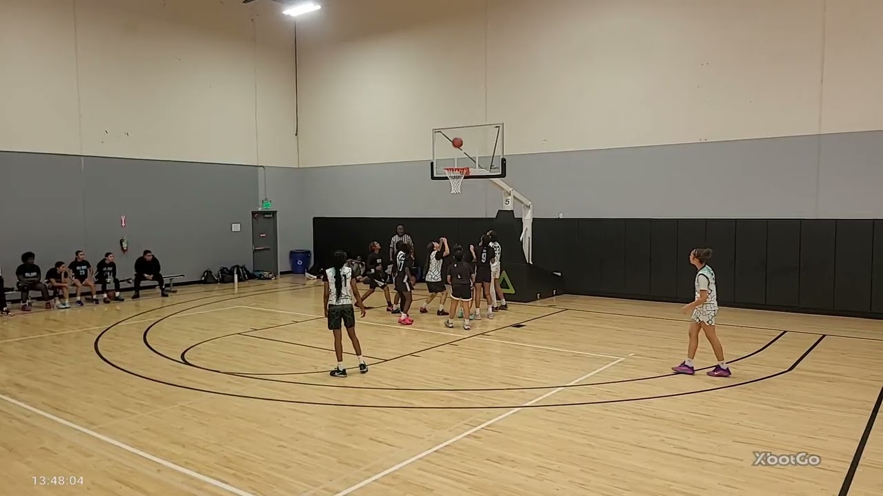 HD Elite vs All Day Elite 2/14/26
