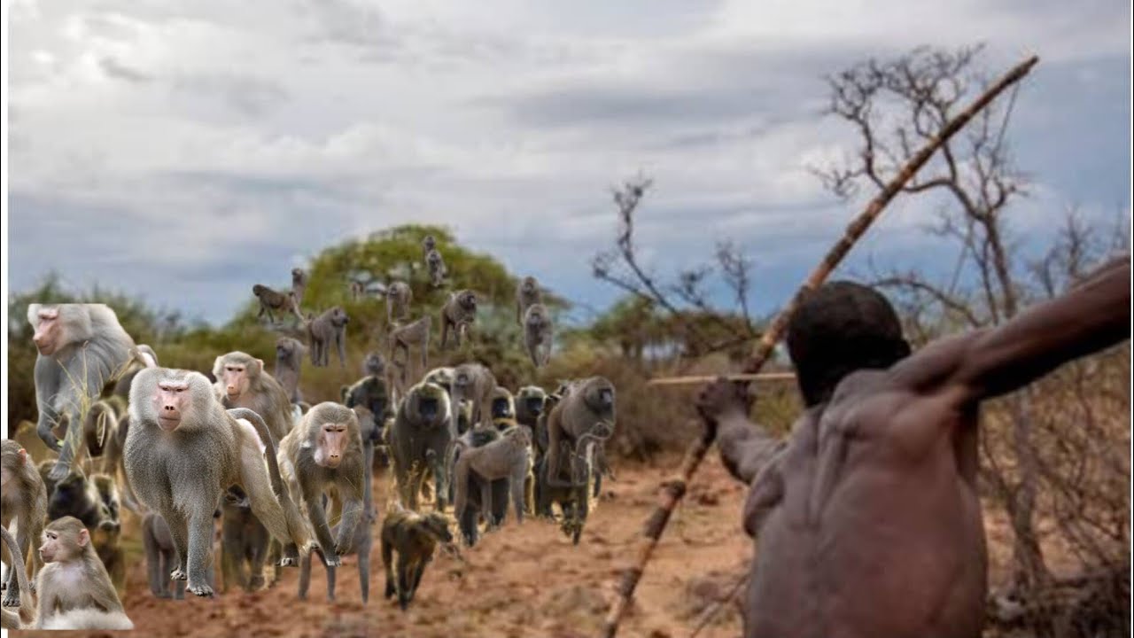 Hadzabe Tribe : See  How Hadza Survive By Hunting Monkeys for Food