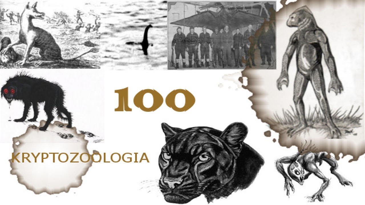 100# Kryptozoologia - Polskie Bestie i Byty