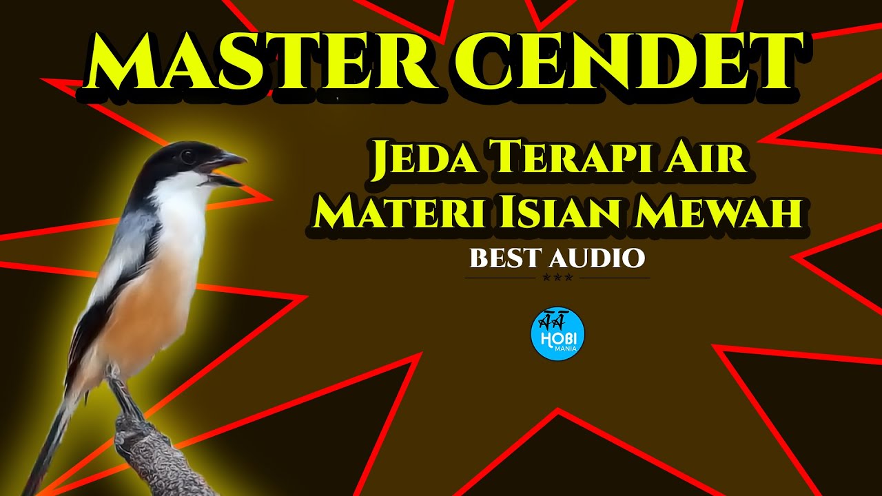 MASTER CENDET / PENTET, Materi Mewah Jeda Terapi Air.