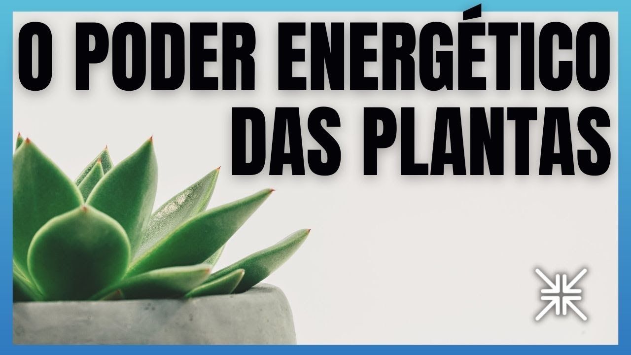 O PODER ENERG&Eacute;TICO DAS PLANTAS EM SUA VIDA | FENG SHUI