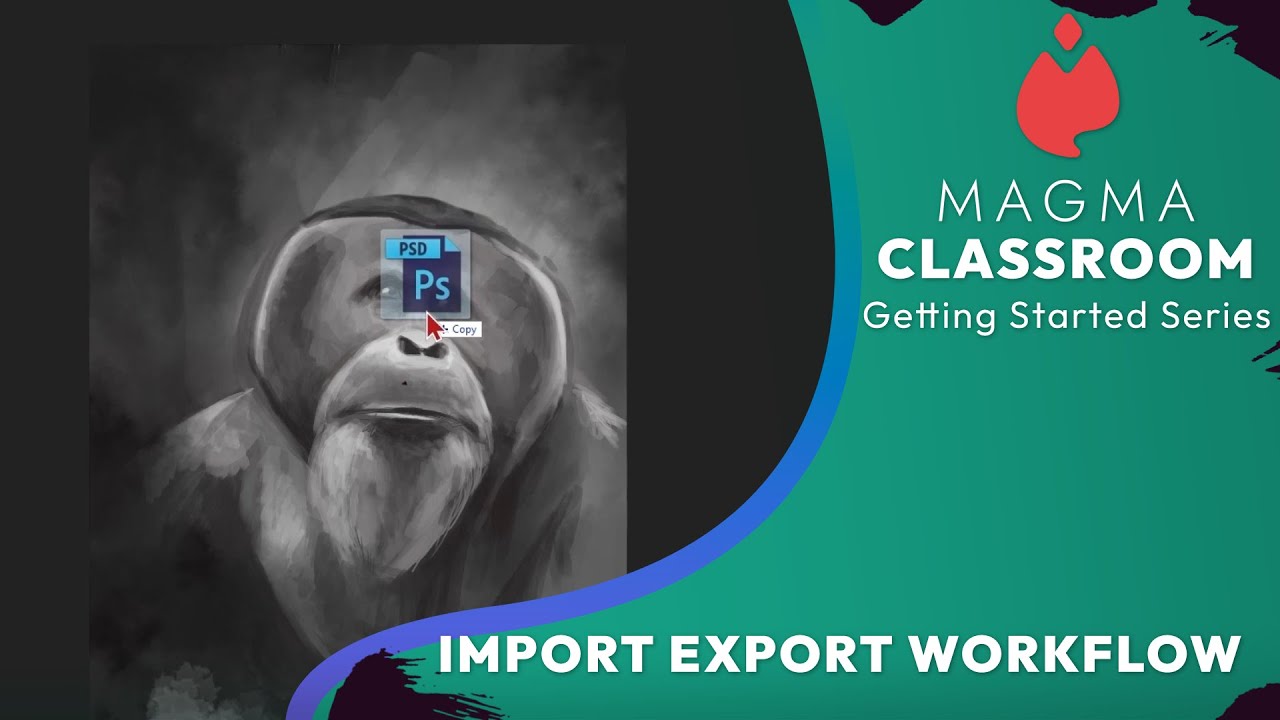 Import Export Workflow | Magma Classroom