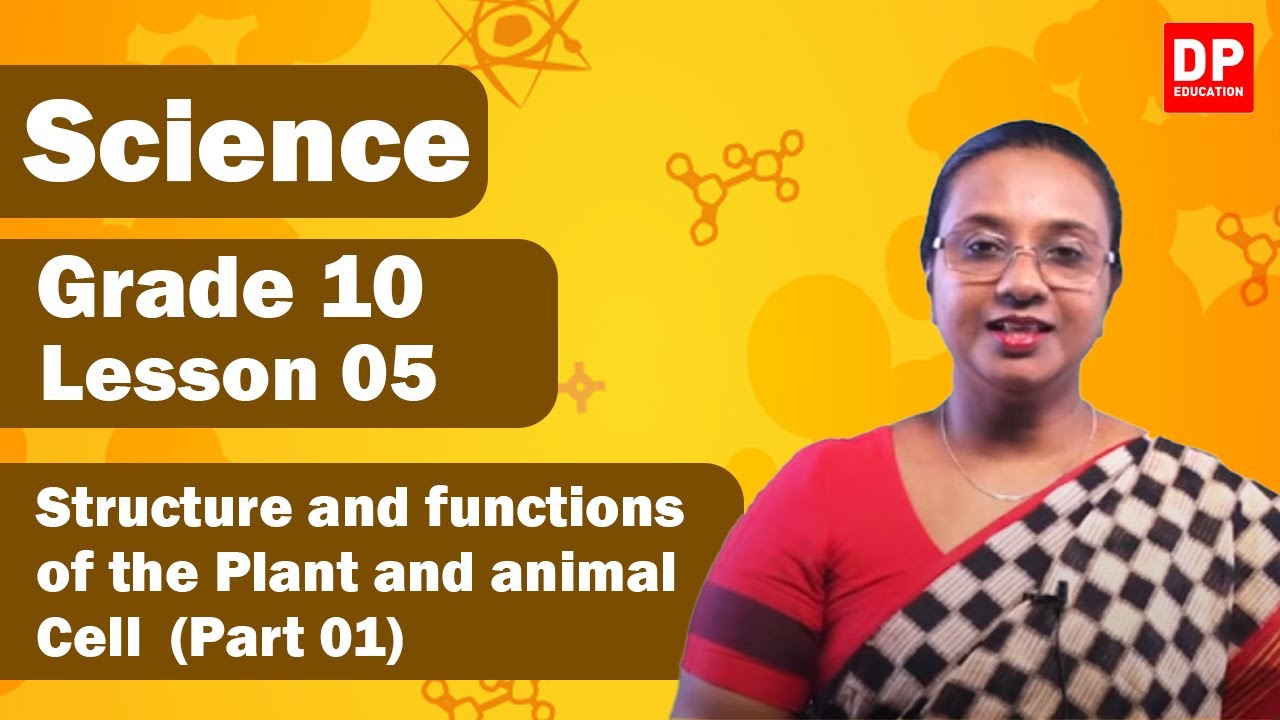 Lesson 06 -Structure and functions of the Plant and animal Cell(Part 01) Grade 10 Science in English
