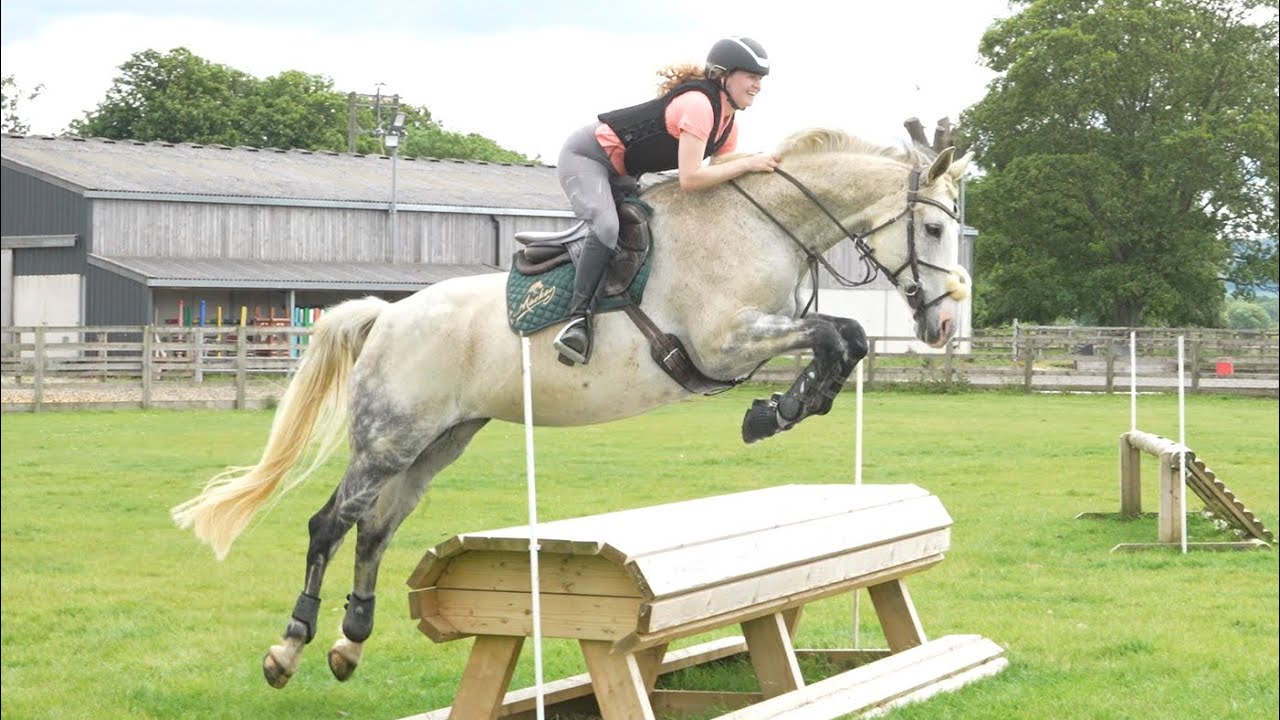SHOWJUMPER GOES XC