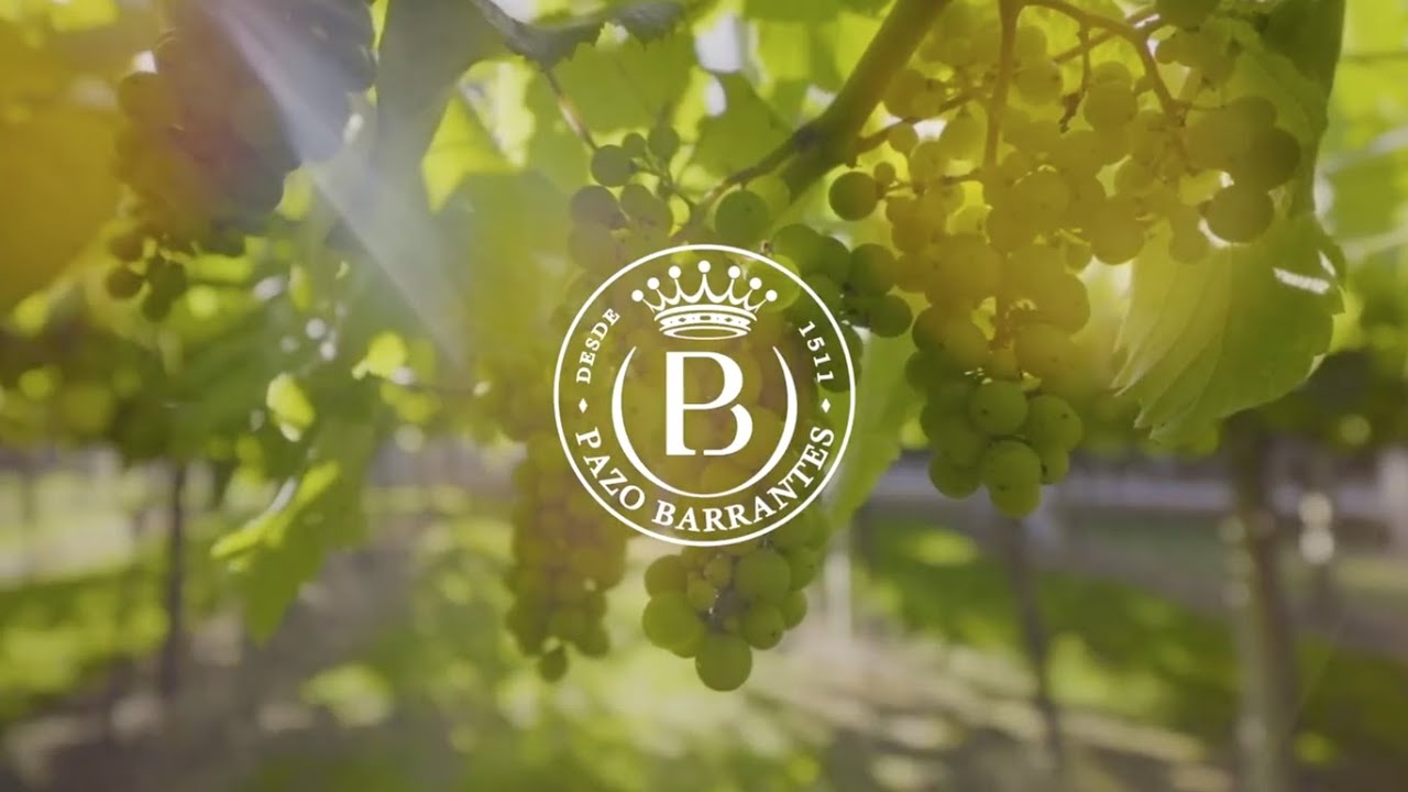 Presentación de la nueva era de Pazo de Barrantes