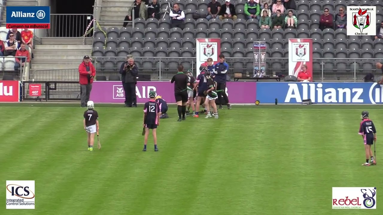 GS Ui Drisceoil v Innishannon