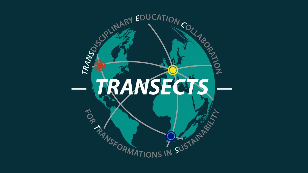 TRANSECTS: TRANSdisciplinary Education Collaboration for Transformations in Sustainability
