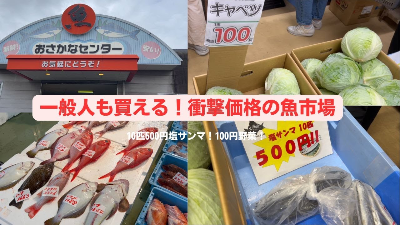 一般人も参加OK！豊橋魚市場で衝撃価格の魚を爆買い！10匹500円塩サンマや100円野菜も紹介