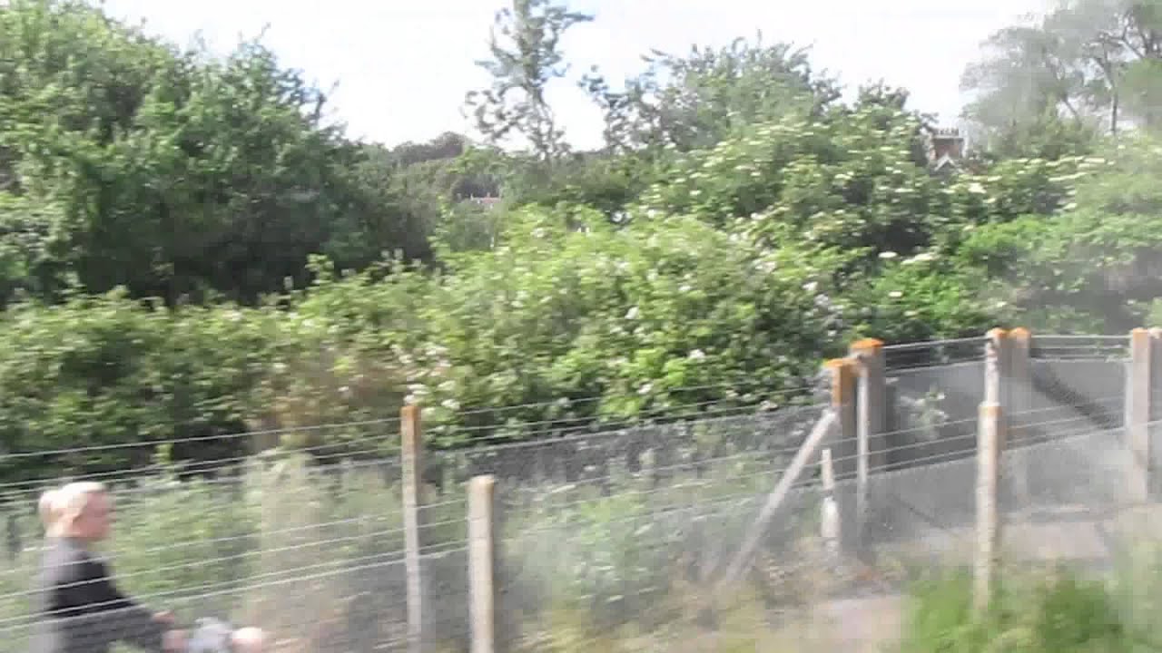 hastings to ashford international service highlights