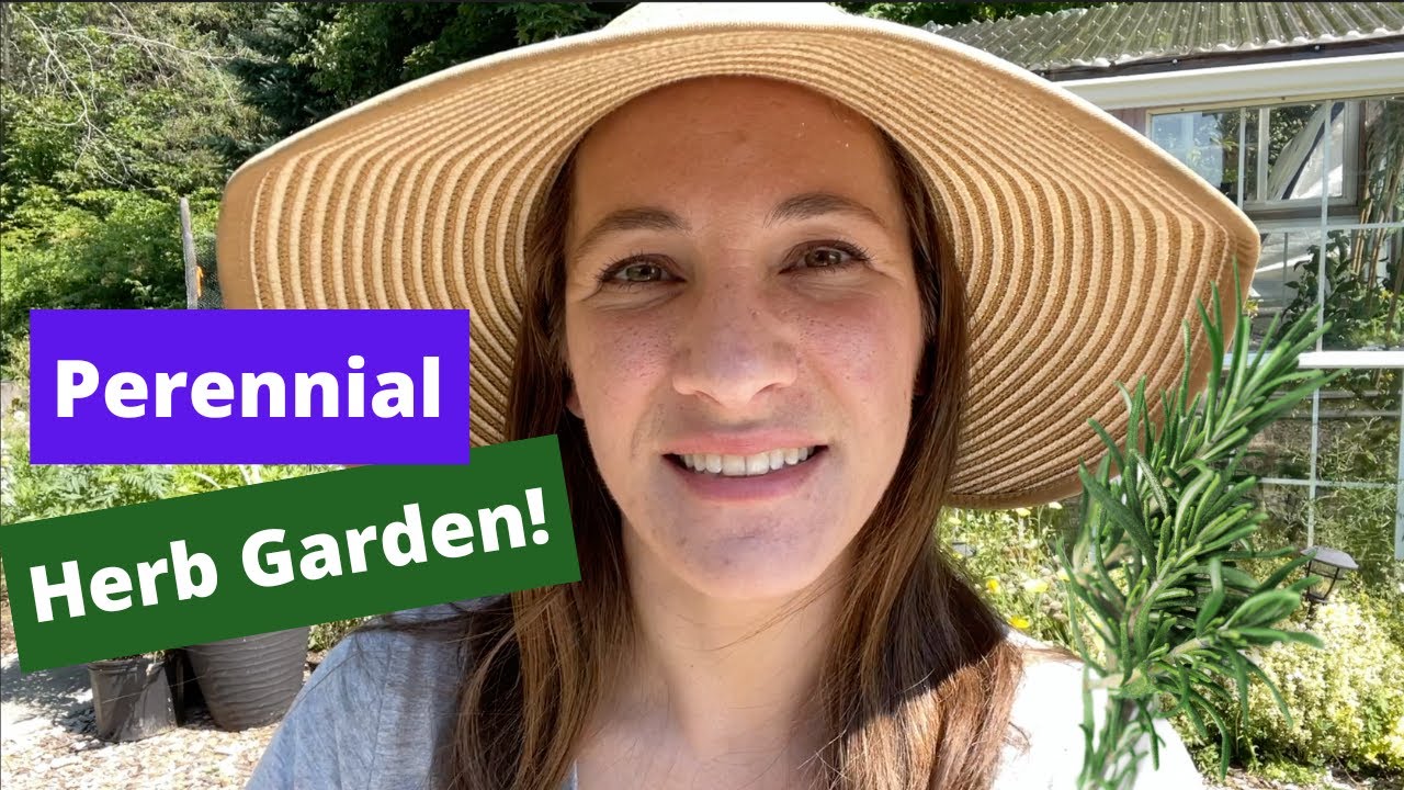 HOW TO care for Perennial Herbs 🌿 Zone 6 Herb Garden Tour and Maintenance