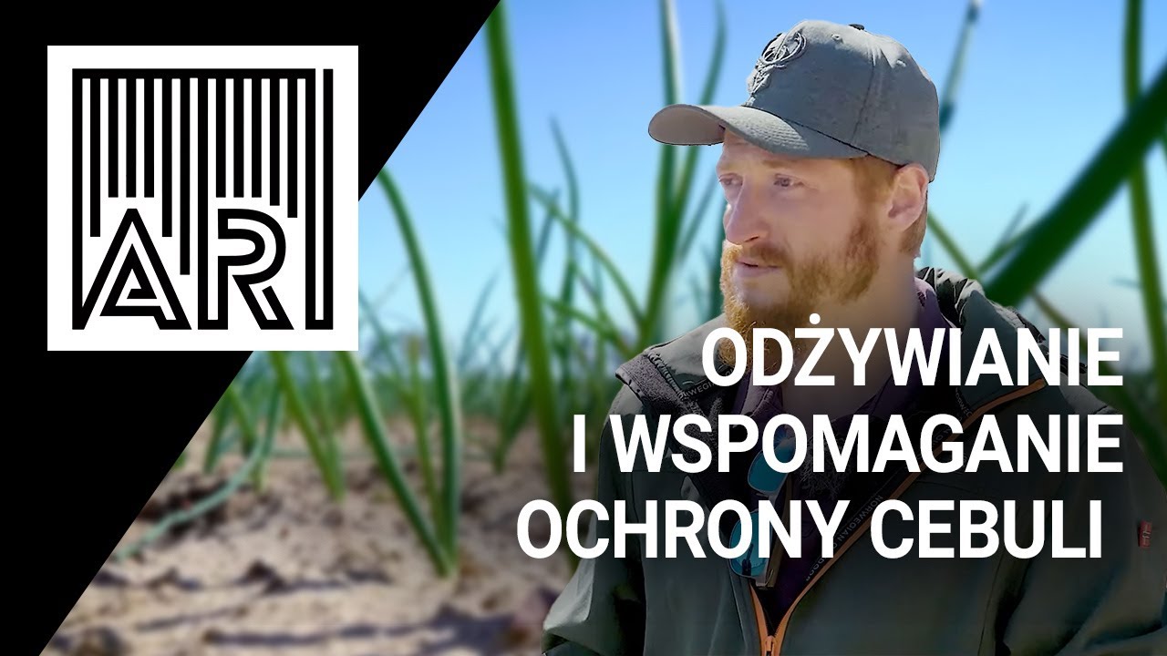Odżywianie i wspomaganie ochrony cebuli || AR #151