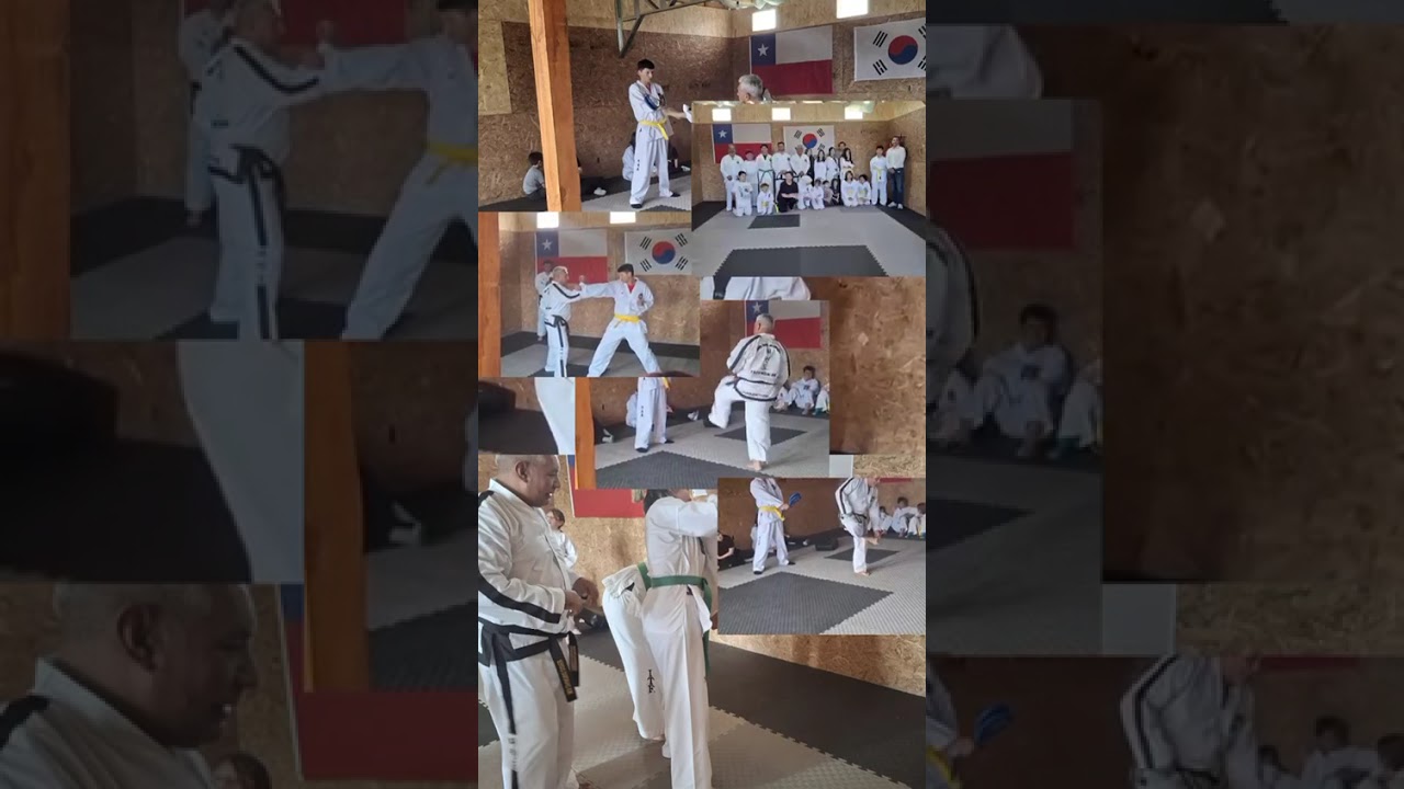Master Class en Chile a cargo del GM Sergio Zamorano, presidente se la Federación Modokwan TKD ITF