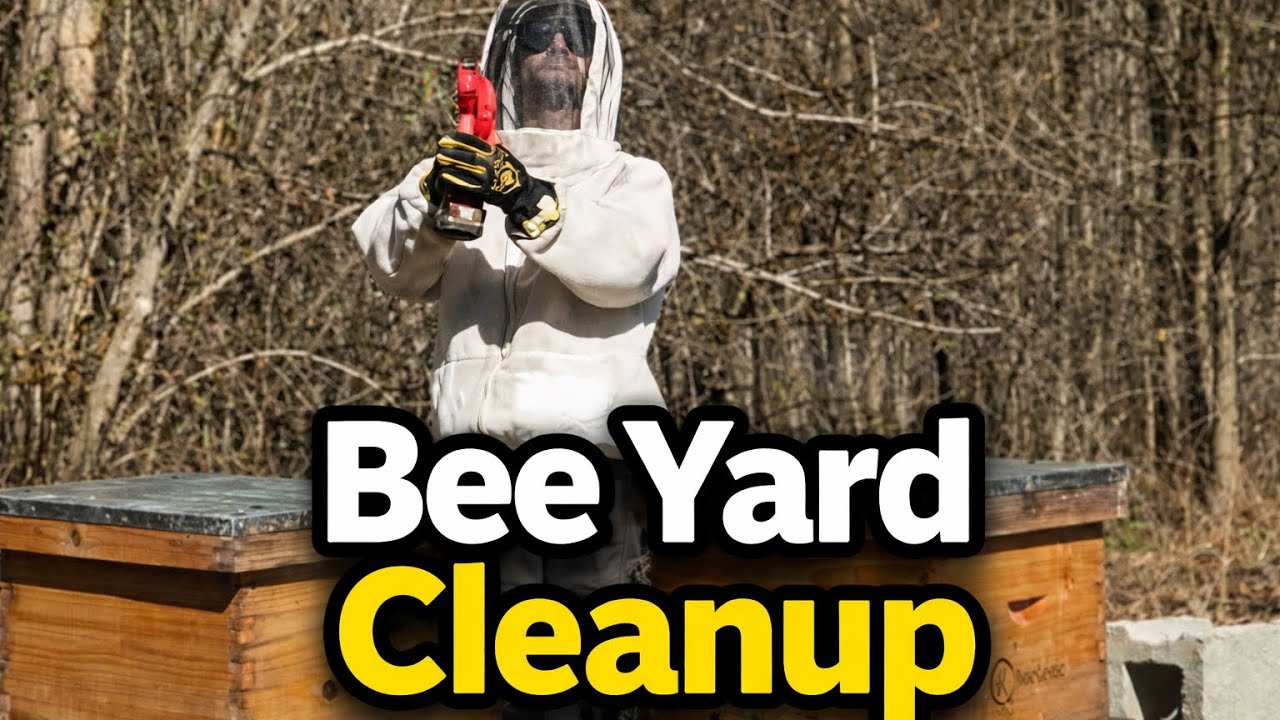 Building a Better Bee Yard | Cleanup & Future Plans